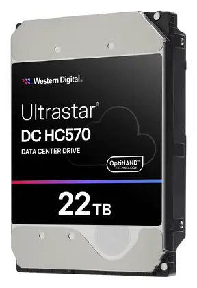 WD Ultrastar DC HC570 22TB 3.5" SATA Kurumsal Disk (0F48155)