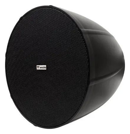 Westa WS-97B 50W IP66 Siyah Sarkıt Hoparlör — görsel 2