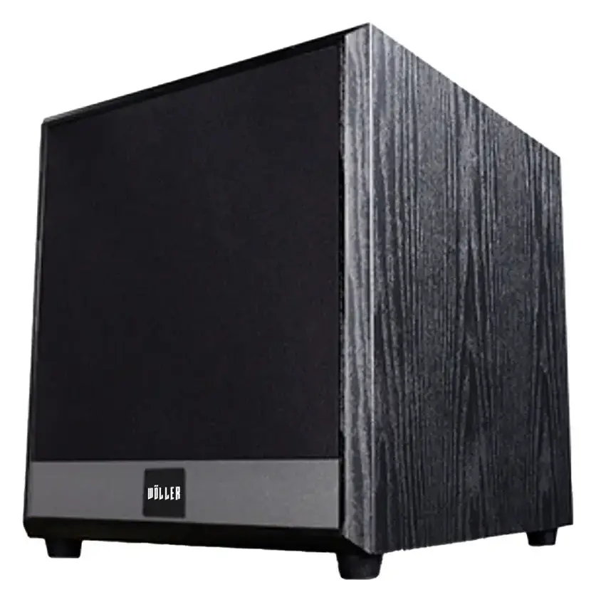 Woller WSUB-12 12" Subwoofer